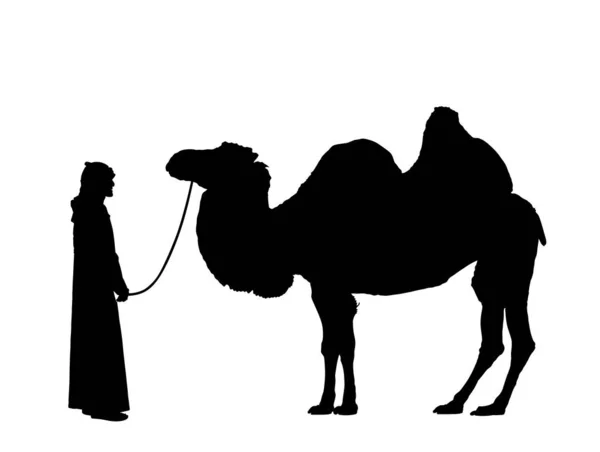 Arabian Man Sheikh Standing Riding Camel Vector Silhouette Illustration Isolated — Stock Vector