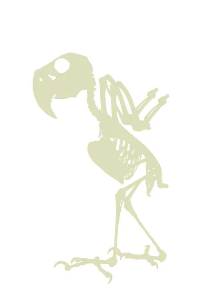 Palmier Cockatoo Parrot Squelette Vecteur Silhouette Illustration Isolée Sur Fond — Image vectorielle