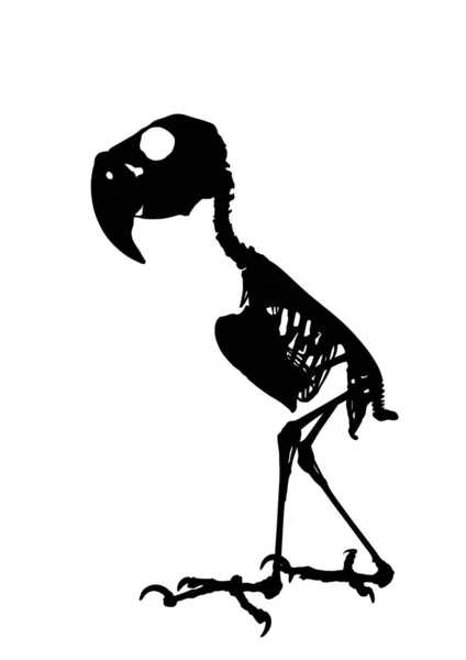 Palm Cockatoo Papegoja Skelett Vektor Siluett Illustration Isolerad Vit Bakgrund — Stock vektor