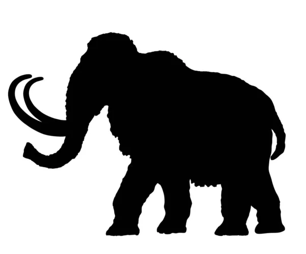 在白色背景上隔离的猛禽矢量剪影插图 史前毛毛象与象牙隔离 — 图库矢量图片