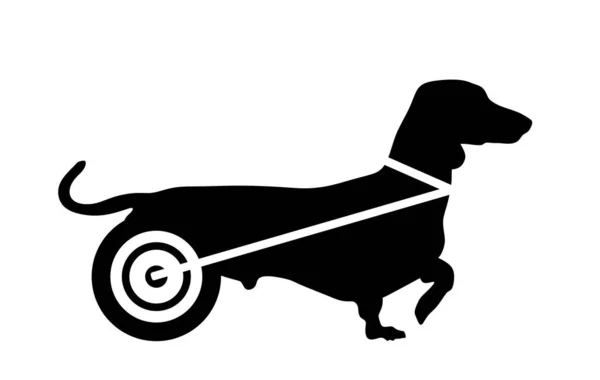 Dachshund Cão Desativado Rodas Silhueta Vetorial Ilustração Isolada Sobre Fundo — Vetor de Stock