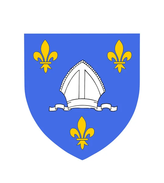 Frankrike Historiska Provinsen Saintonge Rock Vapen Flagga Vektor Illustration Franska — Stock vektor