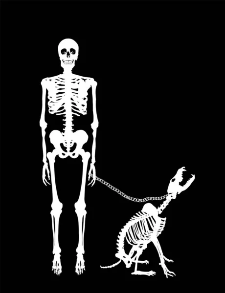 可怕的死人 死狗绑在皮带上 核战争后的末日 在黑色背景上孤立的人体骨骼矢量轮廓图 人类骨骼结构的象征 万圣节之夜 — 图库矢量图片