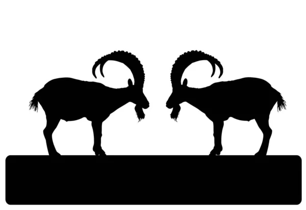 Dos Cabras Macho Cuerno Grande Silueta Vectores Lucha Tonta Ilustración — Vector de stock