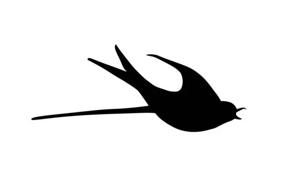 Flaying Tragar Silueta Vectorial Ilustración Aislada Sobre Fondo Blanco Aves — Archivo Imágenes Vectoriales