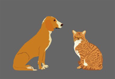 Oturan evcil hayvan portresi, evcil köpek ve siyah arka planda izole edilmiş kedi vektör çizimi. Schiller av köpeği ve İskoç heteroseksüel kedisi. Schillerstovare. Köpeğe dikkat et. Dostlar ve İç Güvenlik.