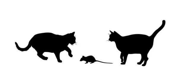 Głodne Koty Goni Myszy Wektor Sylwetki Ilustracji Izolowane Białym Tle — Wektor stockowy