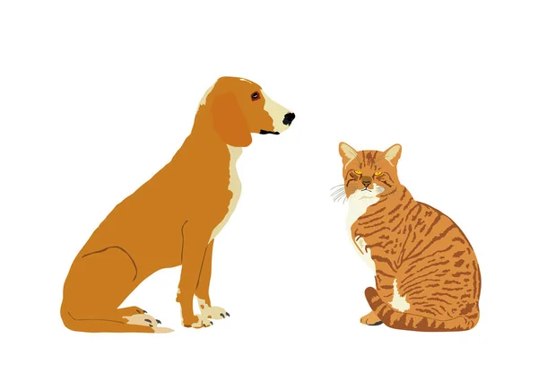 Portrait Sitting Pets Domestic Dog Cat Vector Illustration Isolated White — Image vectorielle