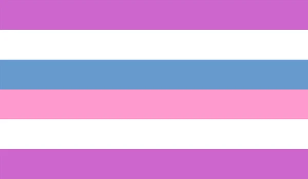 Bigender Vlag Vector Illustratie Geïsoleerd Lgbtq Gemeenschap Intersex Vlag Trots — Stockvector