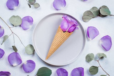 Arkadaki tabakta gözleme külahında gül. Durgun hayat kavramı. Pastel Trend rengi. 2022 yılının renk kavramı.