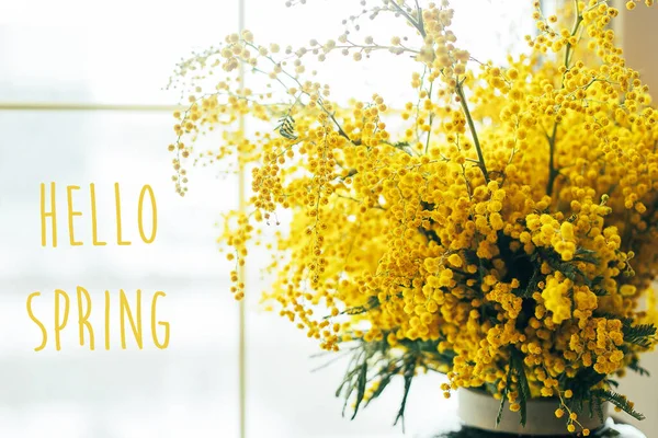 Привіт Спрінг Букет Жовтих Квітів Мімози Березня Концепція Жіночого Дня — стокове фото