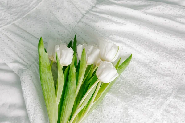 Λευκά Λουλούδια Τουλίπες Στο Λευκό Φόντο Πάνω Άποψη Αντίγραφο Χώρου — Φωτογραφία Αρχείου