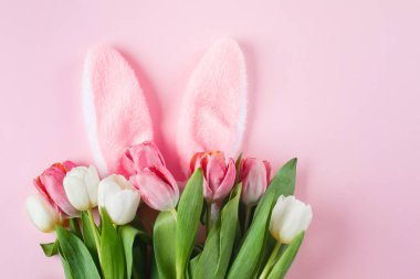 Pembe arka planda tüylü tavşan kulakları ve laleler. Paskalya tatili konsepti. Üst manzara, düz yatış. Tavşan kulaklarına odaklan