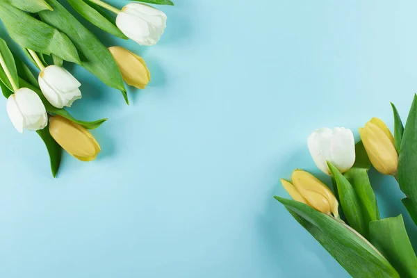 Ανοιξιάτικα Λουλούδια Ένα Μάτσο Λευκές Κίτρινες Τουλίπες Μπλε Φόντο Πάνω — Φωτογραφία Αρχείου