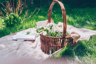 Yaz pikniği. İçinde leylak çiçekleri olan sepet ve çizgili ekose üzerine kitap. Doğa boş zaman konsepti