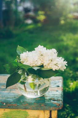 Glass vase with bouguet of white lilac on nature background.