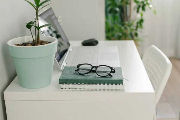 Home Office Desk Table Laptop Notebook Phone Eyeglasses Home Plant — Fotografia de Stock