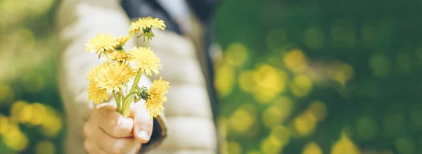 Child Boy Hands Holding Bouquet Yellow Dandelions Summer Outdoor Lifestyle — Stock Photo, Image