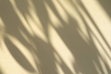 Sarı arkaplan ve güneş ışığı gölgesi