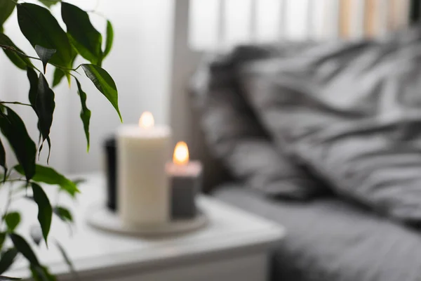 Home Plant Burning Candle Background Bedroom Home Cozy Interior Focused — Stock Photo, Image