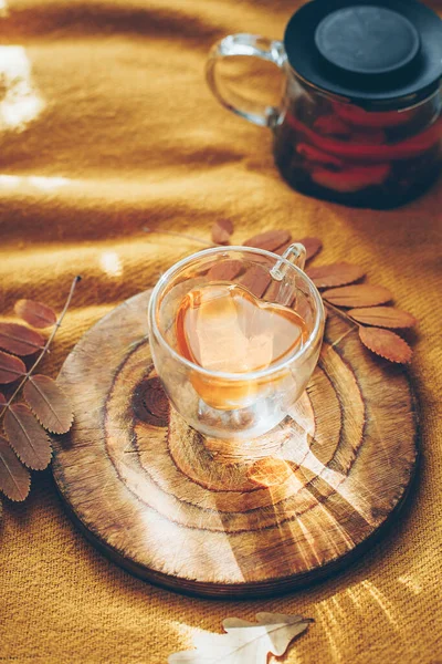 Herbal Tea Glass Cup Heart Shape Wooden Board Top View — Stockfoto