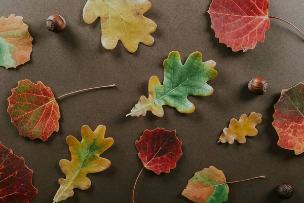 Herbstgetrocknete Blätter Auf Braunem Hintergrund Herbst Herbst Konzept — Stockfoto