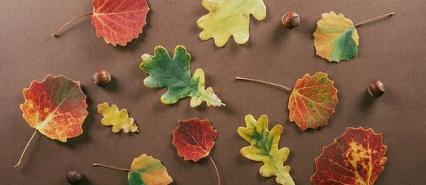 Banner image. Autumn dried leaves on brown background. Fall season concept. Top view, flat lay
