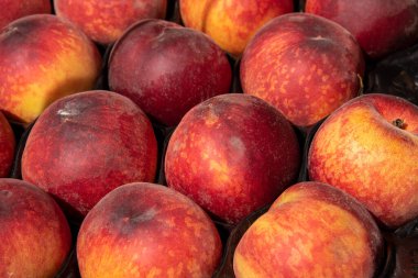 Doğal ışıkta güzel kırmızı-sarı nektarinler