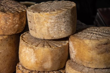 Aged hard craft cheese on a dark background