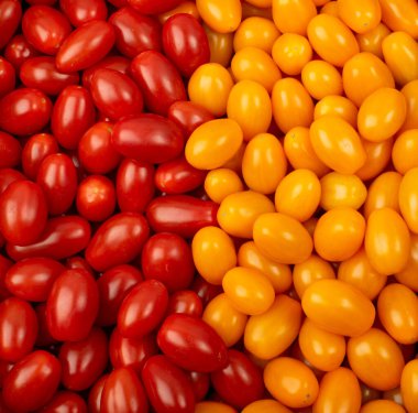 Uzun erik domates dokusu arkaplanı. Taze kırmızı ve sarı kiraz domates desenleri, küçük organik kokteyl tomat duvar kağıdı üst görünümü