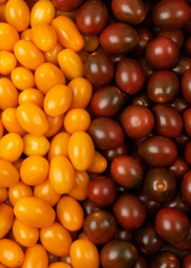 Uzun erik domates dokusu arkaplanı. Taze kırmızı, kahverengi ve sarı domates desenleri, küçük organik domates karışımı duvar kağıdı üst görünümü