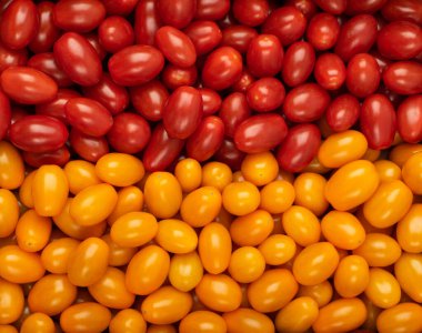 Uzun erik domates dokusu arkaplanı. Taze kırmızı ve sarı kiraz domates desenleri, küçük organik kokteyl tomat duvar kağıdı üst görünümü