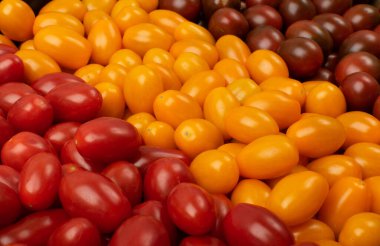 Uzun erik domates dokusu arkaplanı. Taze kırmızı, kahverengi ve sarı domates desenleri, mini organik kokteyl tomat duvar kağıdı karışımı.