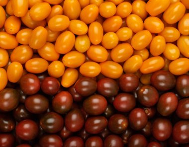 Uzun erik domates dokusu arkaplanı. Taze kırmızı, kahverengi ve sarı domates desenleri, küçük organik domates karışımı duvar kağıdı üst görünümü