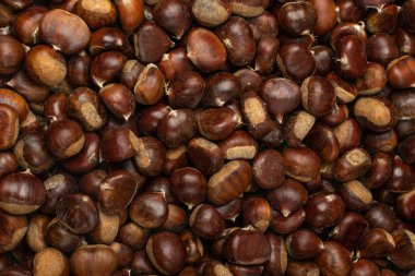 Fotokopi alanı manzaralı yenilebilir tüm kestane desenli arka plan. Çiğ kestane rengi, kestane rengi duvar kağıdı, sonbahar ve noel sebzesi.