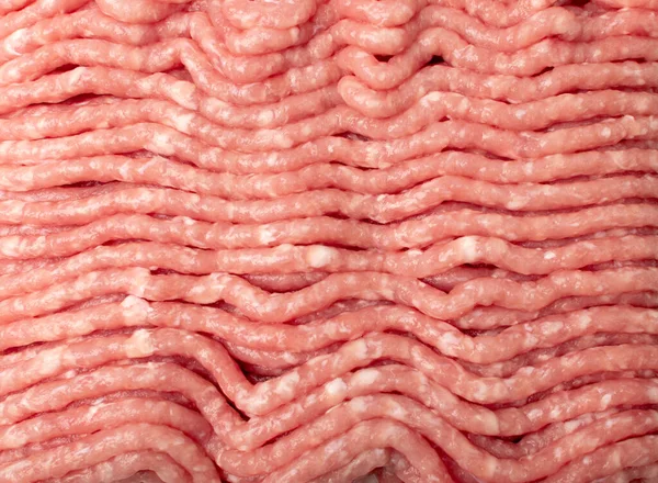 Pork mince meat texture background. Ground fresh pig fillet textured pattern, uncooked pork mincemeat, raw forcemeat, farce meat top view