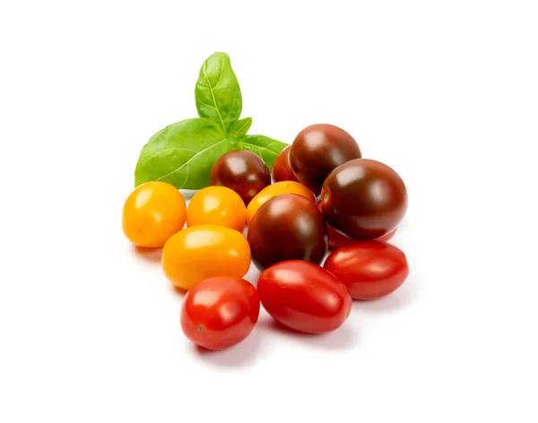 Long Plum Tomato Group Isolated Fresh Small Red Brown Yellow — Stock Photo, Image