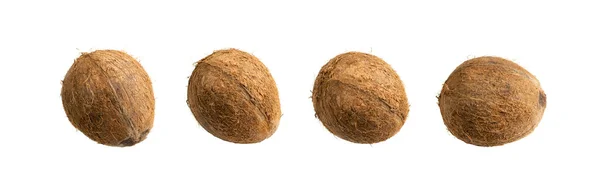Hele Kokosnoot Set Geïsoleerd Verse Bruine Cocos Witte Achtergrond Zoete — Stockfoto