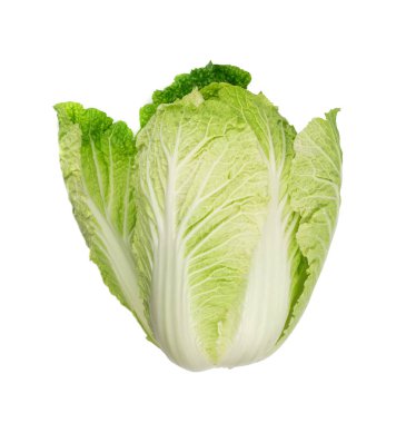 Çin lahanası, Napa lahanası ya da beyaz arka planda izole edilmiş Wombok, taze yeşil lahana.