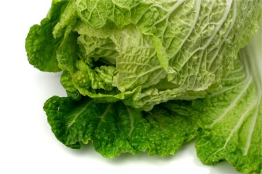Çin lahanası, Napa lahanası ya da beyaz arka planda izole edilmiş Wombok, taze yeşil lahana.