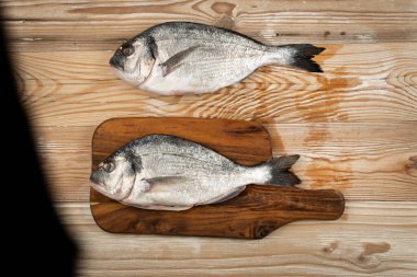 Orata balığı ahşap arka planda. Taze dorado, deniz kabuğu, çiğ yaldızlı krema, dorada, pişmemiş dorade, doraden veya Sparus aurata deniz balığı üst görünümü.