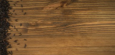 Çiğ Black Wild Rice Arka plan Üst Manzarası. Bio Rice Uzun Tohumlar, Yaban Gevreği Dokusunda Metin İçin Yer