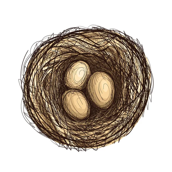 Nido Dibujado Mano Con Huevos Tres Huevos Pollo Marrón Boceto — Vector de stock