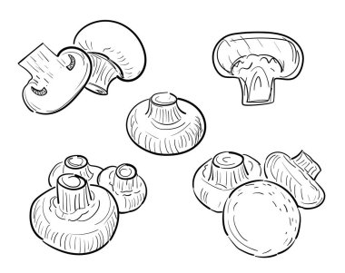 El yapımı şampiyonlar hazır. Sketchy mantarlar, skeç karalama şampiyonu koleksiyonu, vektör illüstrasyonu