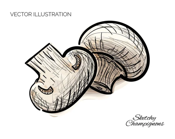 Handritade Champinjoner Sketchig Svamp Skiss Doodle Champignon Klotsvamp Handritad Odlad — Stock vektor