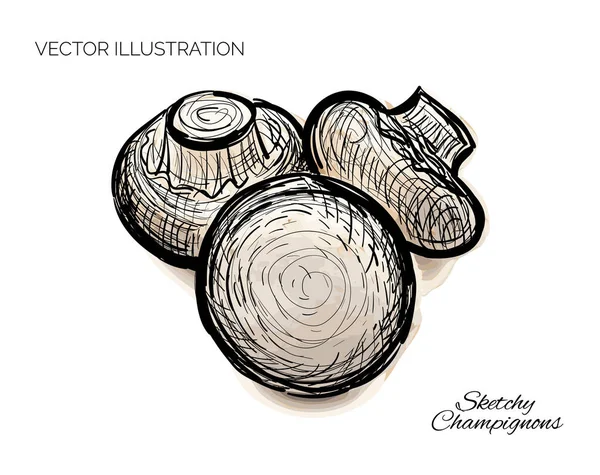 Champinhons Desenhados Mão Cogumelos Esboçados Champignon Doodle Esboço Fungo Scribble — Vetor de Stock