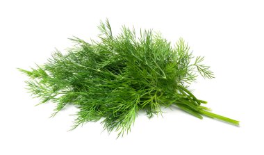 Dil filizi izole edildi. Taze rezene dalı, bitki demeti, beyaz arka planda kokulu dereotu dalının makro fotoğrafı.