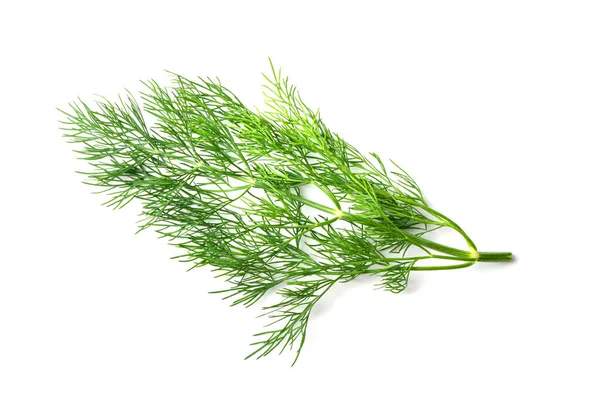 Dill Sprig Geïsoleerd Vers Venkeltwijg Kruidachtige Plant Close Macro Foto — Stockfoto