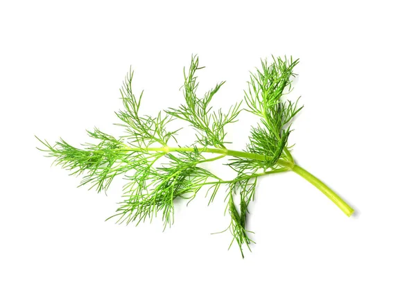 Dill Sprig Elkülönítve Friss Édeskömény Gallyak Gyógynövény Közelkép Makró Fotó — Stock Fotó