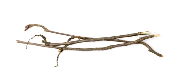 Branches Pile Isolated Dry Twigs Pile Ready Campfire Sticks Boughs — Stock Photo, Image